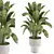  Modern Indoor Plant Set 7 3D model small image 1