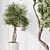 Majestic Olive Faux Tree Mediterranean 3D model small image 3