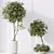 Majestic Olive Faux Tree Mediterranean 3D model small image 4