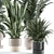 Industrial Style Indoor Plant Model 3D model small image 2