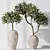 Artificial Olivo Olea Tree Set 3D model small image 3