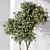 Artificial Olivo Olea Tree Set 3D model small image 4