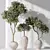 Artificial Olivo Olea Tree Set 3D model small image 6