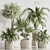 Elegant Indoor Plant Set 132 3D model small image 1