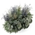 Outdoor Plants Bush Set 3D 3D model small image 4