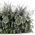 Outdoor Plants Bush Set 3D 3D model small image 6