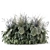 Outdoor Plants Bush Set 3D 3D model small image 1