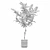 Modern Ficus Lyrata in Pot 3D model small image 5