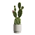 Exotic Indoor Plants Collection 63 3D model small image 4