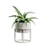 Exotic Indoor Plants Collection 63 3D model small image 7