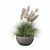 Modern Pot Grass Plants Collection 3D model small image 3