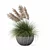 Modern Pot Grass Plants Collection 3D model small image 4