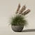 Modern Pot Grass Plants Collection 3D model small image 6