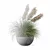 Modern Pot Grass Plants Collection 3D model small image 7