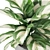 Botanical Collection 1038: Detailed Foliage 3D model small image 3