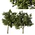 Sycamore Tree Models Pack 3D model small image 1