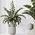 Zamioculcas Zamiifolia 3D Plant Bundle 3D model small image 3