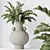 Zamioculcas Zamiifolia 3D Plant Bundle 3D model small image 5