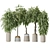 Variety of Huge Ficus Models 3D model small image 1