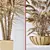 Tropical Palm Tree 3D Models 3D model small image 7