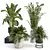  Modern Indoor Plant Collection 3D model small image 1