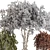 Color-Changing Bonsai Tree 3D Model 3D model small image 5