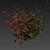 Blueberry Bush Plant Collection 3D model small image 7