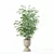 Modern Bamboo Plant in Pot 3D model small image 2