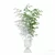 Modern Bamboo Plant in Pot 3D model small image 5