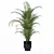 Modern Areca Palm Flower Pot 3D model small image 4