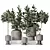 Rubber Ficus 3D Vases Collection 3D model small image 7