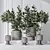 Rubber Ficus 3D Vases Collection 3D model small image 1