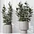 Rubber Ficus 3D Vases Collection 3D model small image 2