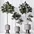 Rubber Ficus 3D Vases Collection 3D model small image 3