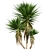 Low-Volume Yucca Palm Asset 3D model small image 2