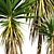 Low-Volume Yucca Palm Asset 3D model small image 5