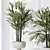 Indoor Plant Set 3D Models 3D model small image 5