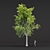 Tree Collection 3D Models Pack 3D model small image 3