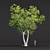 Tree Collection 3D Models Pack 3D model small image 4