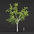 Tree Collection 3D Models Pack 3D model small image 5