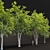 Tree Collection 3D Models Pack 3D model small image 6