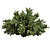 Outdoor Abies Balsamea Bush Collection 3D model small image 3