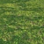 Versatile Grass Scatter Kit 3D model small image 1