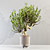 20cm Indoor Plant 3D Model 3D model small image 6