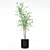 Modern Ficus Benjamina in Pot 3D model small image 3