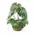 3D Monstera Plant Collection 170 3D model small image 2