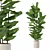 Modern Ficus Lyrata in Pot 3D model small image 1