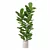 Modern Ficus Lyrata in Pot 3D model small image 2