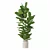 Modern Ficus Lyrata in Pot 3D model small image 3