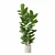 Modern Ficus Lyrata in Pot 3D model small image 4